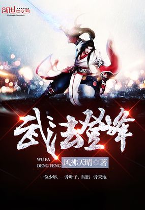 武法登峰在线阅读