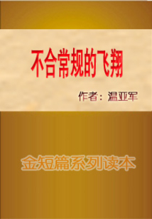 不合常规的飞翔