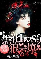 职业快穿:黑化boss狠会撩在线阅读