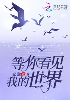 等你看見我的世界在線閱讀