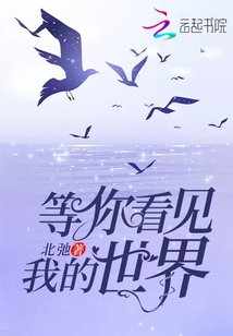 等你看見我的世界
