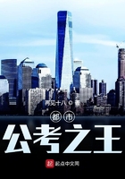 都市：公考之王在线阅读