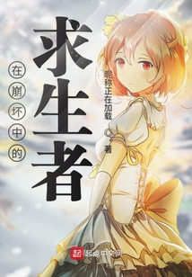 在崩壞中的求生者