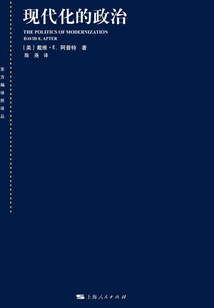 現(xiàn)代化的政治