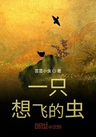 一只想飞的虫在线阅读