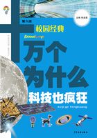 十万个为什么（校园版）·科技也疯狂