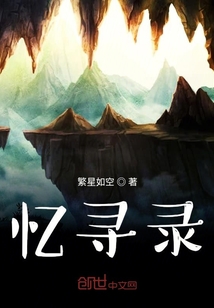 憶尋錄