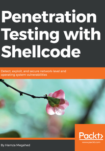 Penetration Testing with Shellcode