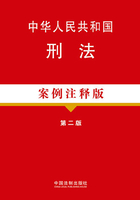 中华人民共和国刑法（案例注释版）（第二版）在线阅读