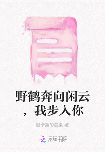 野鶴奔向閑云，我步入你