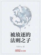 被放逐的法则之子在线阅读