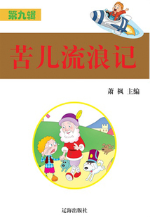 苦兒流浪記