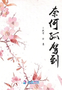 奈何孤駕到