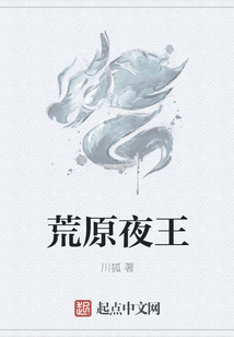 荒原夜王