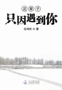 這輩子只因遇到你