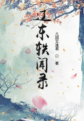 辽东轶闻录在线阅读