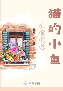 仰望加菲貓的小魚