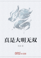 真是大明無雙在線閱讀