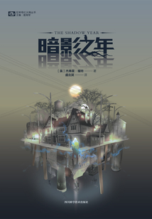 暗影之年