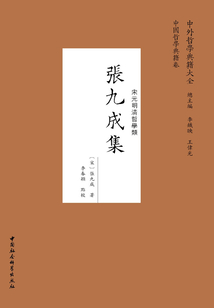 張九成集(全二冊)