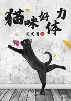 貓咪好體力在線閱讀