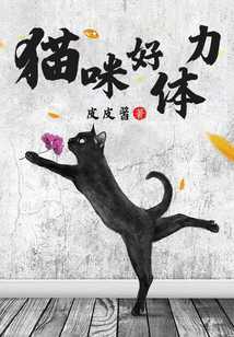 貓咪好體力