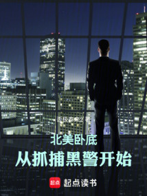 北美卧底：从抓捕黑警开始在线阅读