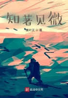 知著見微在線閱讀