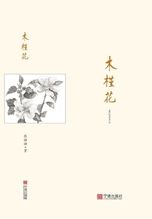木槿花