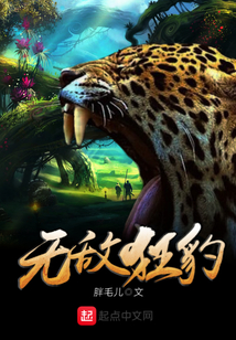 無敵狂豹