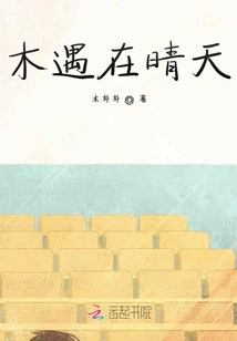 木遇在晴天