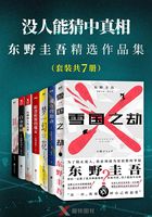 没人能猜中真相：东野圭吾精选作品集（套装共7册）