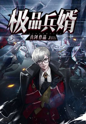 极品兵婿在线阅读