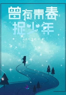 曾有青春捉少年