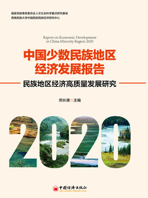 中國少數民族地區經濟發展報告（2020）：民族地區經濟高質量發展研究