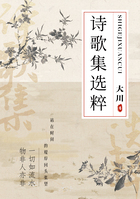 诗歌集选粹在线阅读