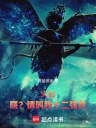 火影:晓?请叫我十二弦月在线阅读