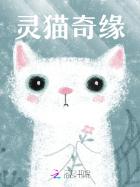 灵猫奇缘在线阅读