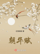 朝華賦在線閱讀