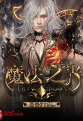 魔法之光在线阅读