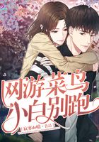 網游菜鳥：小白別跑在線閱讀