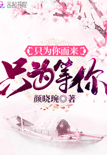 只為你而來只為等你