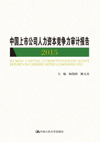 中国上市公司人力资本竞争力审计报告 2015在线阅读