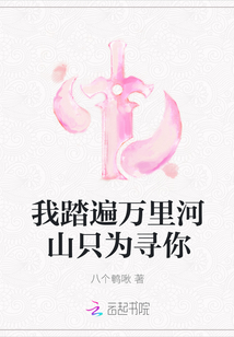 我踏遍萬里河山只為尋你