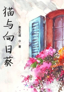 貓與向日葵