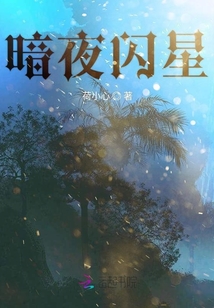 暗夜閃星
