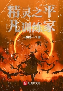 精灵之平凡训练家