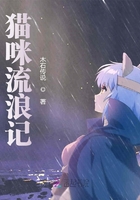 貓咪流浪記在線閱讀