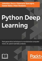 Python Deep Learning在线阅读