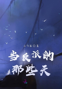当反派的那些天